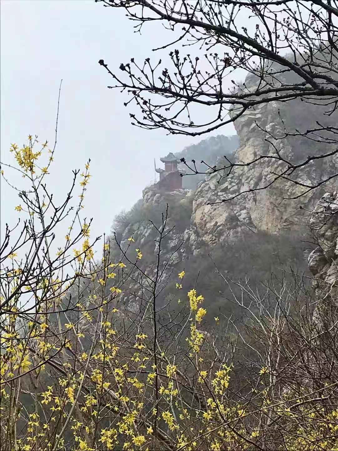 嵩山国际地址_嵩山国际美食_嵩山国际的房子怎么样