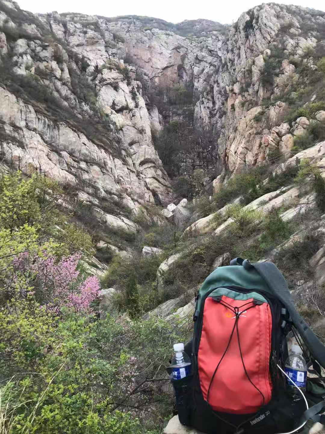 嵩山国际美食_嵩山国际地址_嵩山国际的房子怎么样