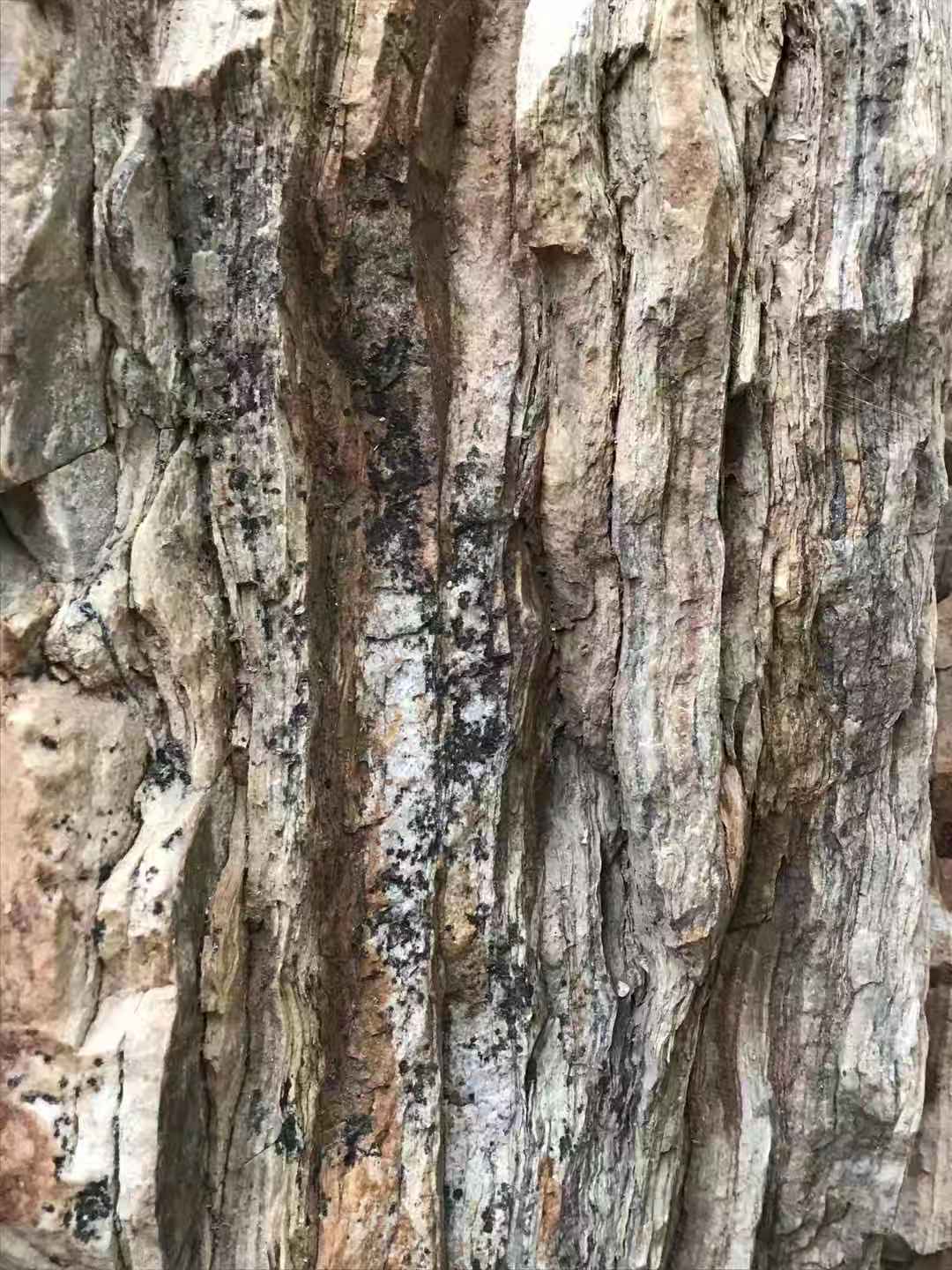 嵩山国际美食_嵩山国际地址_嵩山国际的房子怎么样