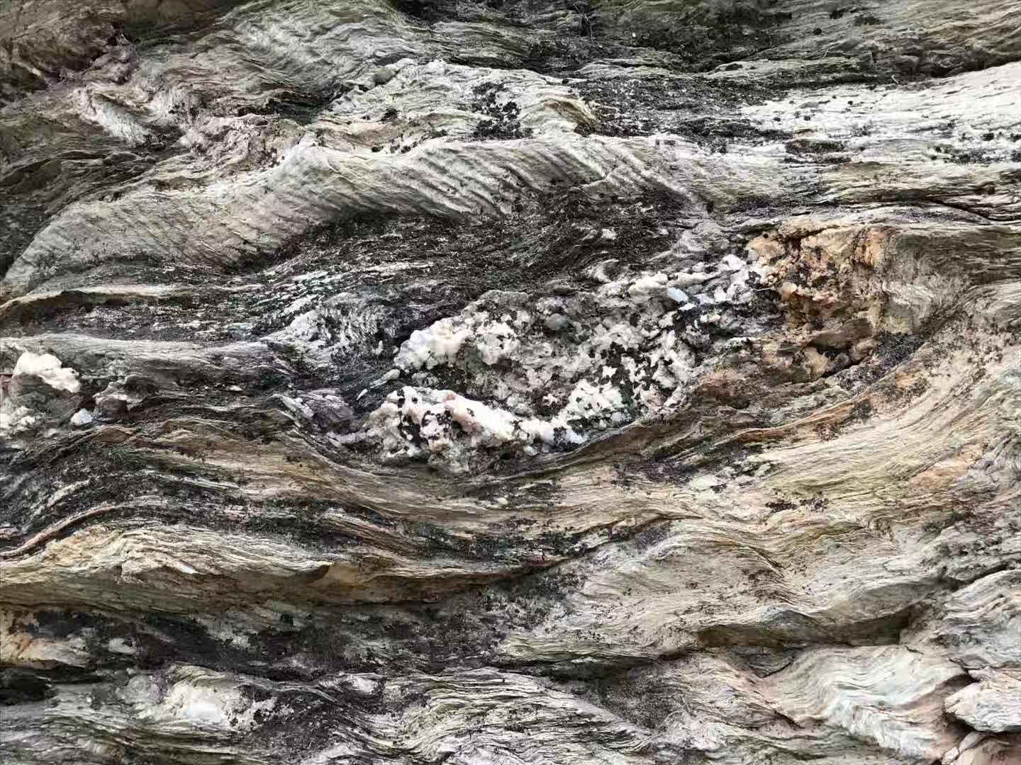 嵩山国际美食_嵩山国际地址_嵩山国际的房子怎么样