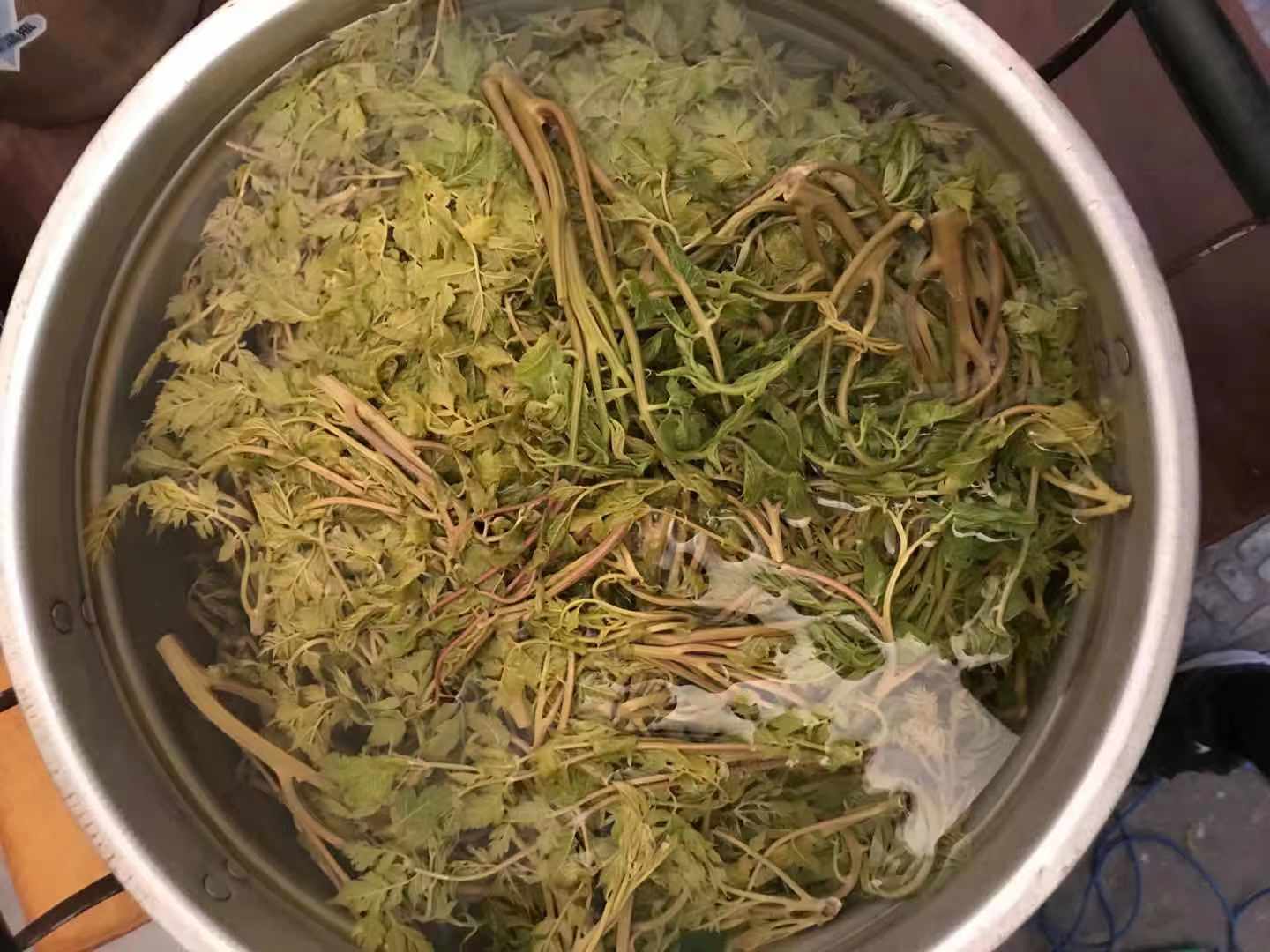 嵩山国际的房子怎么样_嵩山国际美食_嵩山国际地址