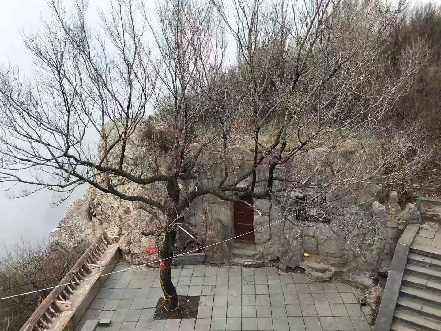 嵩山国际的房子怎么样_嵩山国际美食_嵩山国际地址