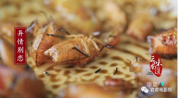 美食国际教育理解_71国际美食_美食国际铁蛋