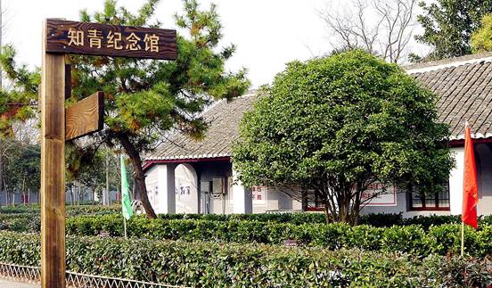 切成条状_切成白条的长条点心_茄子怎么切成长条