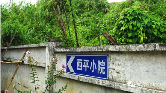 特价茶餐厅_餐馆特价菜_餐饮特价活动怎么写吸引人
