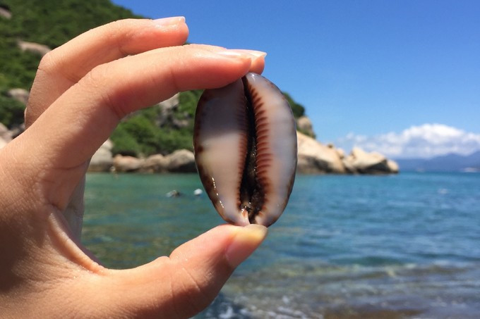 后海附近美食攻略_后海附近吃的_后海附近好吃的小吃店