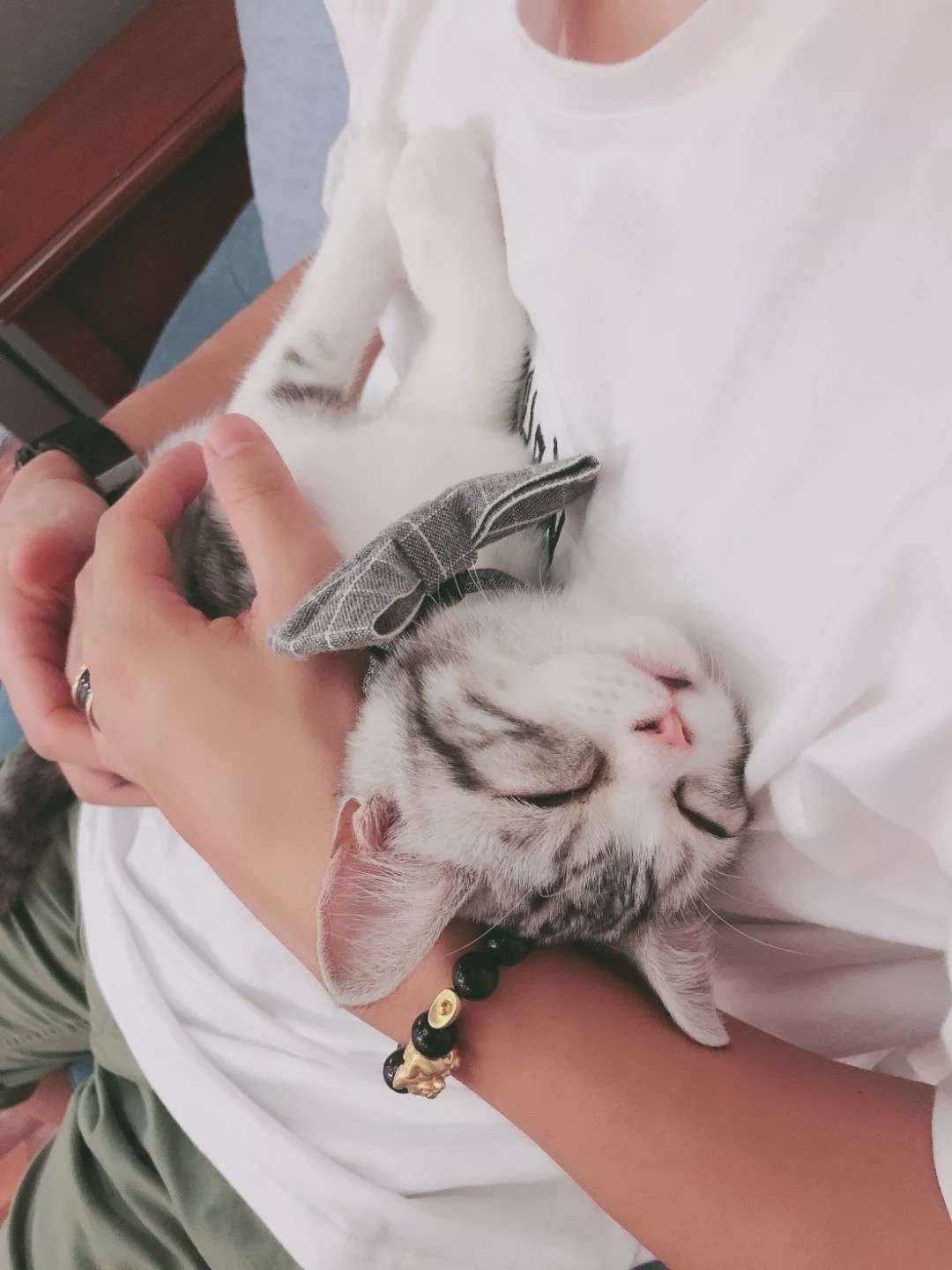 猫咖啡馆馆主_猫咖啡馆_咖啡馆猫咖产品介绍