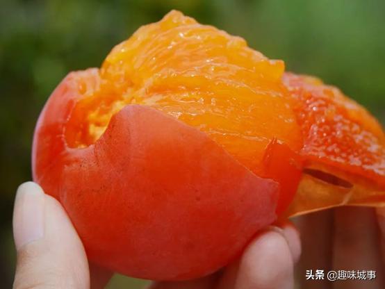 家常点心与小吃制作_点心家常做法_点心家常小吃制作视频